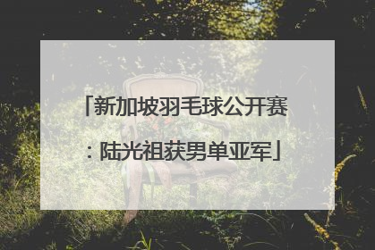 新加坡羽毛球公开赛：陆光祖获男单亚军