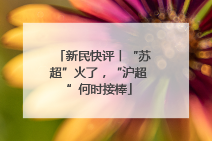新民快评丨“苏超”火了，“沪超”何时接棒