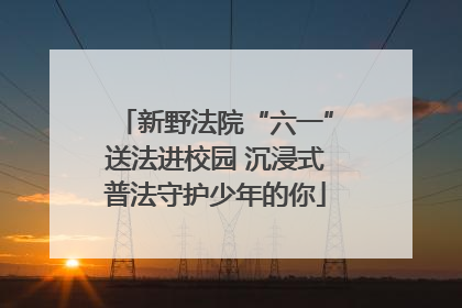 新野法院“六一”送法进校园 沉浸式普法守护少年的你