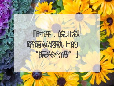 时评：皖北铁路铺就钢轨上的“振兴密码”