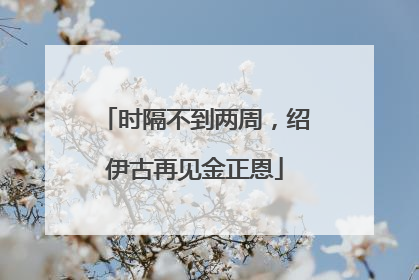 时隔不到两周，绍伊古再见金正恩