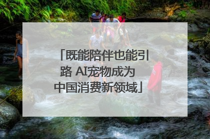 既能陪伴也能引路 AI宠物成为中国消费新领域