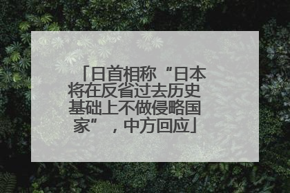 日首相称“日本将在反省过去历史基础上不做侵略国家”，中方回应