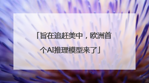 旨在追赶美中，欧洲首个AI推理模型来了
