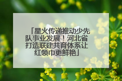 星火传递推动少先队事业发展！河北省打造联建共育体系让红领巾更鲜艳