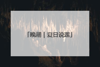 晚潮｜夏日说莲