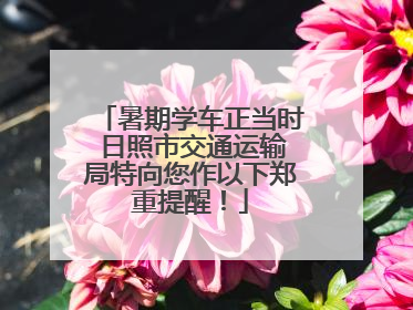 暑期学车正当时 日照市交通运输局特向您作以下郑重提醒！