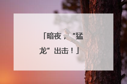 暗夜，“猛龙”出击！