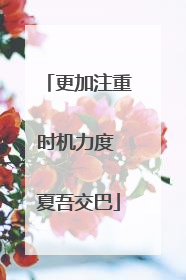 更加注重时机力度 夏吾交巴