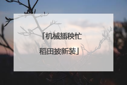 机械插秧忙 稻田披新装