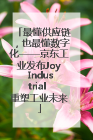 最懂供应链，也最懂数字化——京东工业发布Joy Industrial 重塑工业未来