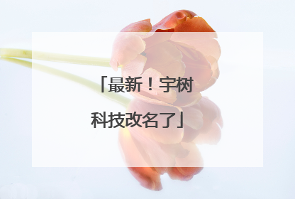 最新！宇树科技改名了