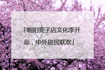 朝阳麦子店文化季开幕，中外居民联欢