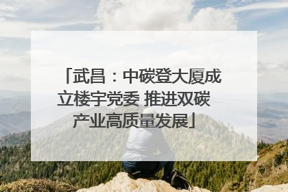 武昌：中碳登大厦成立楼宇党委 推进双碳产业高质量发展