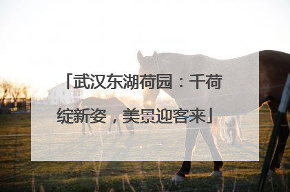 武汉东湖荷园：千荷绽新姿，美景迎客来