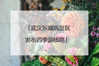 武汉东湖风景区发布四季游线路
