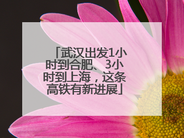武汉出发1小时到合肥、3小时到上海，这条高铁有新进展