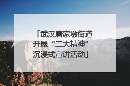 武汉唐家墩街道开展“三大精神”沉浸式宣讲活动