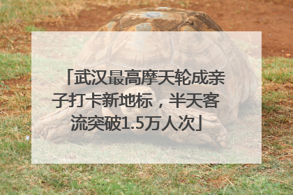 武汉最高摩天轮成亲子打卡新地标，半天客流突破1.5万人次