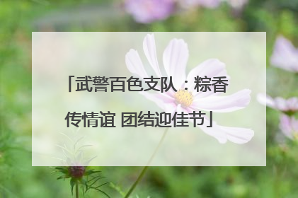 武警百色支队：粽香传情谊 团结迎佳节