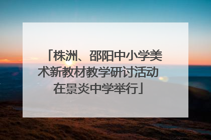 株洲、邵阳中小学美术新教材教学研讨活动在景炎中学举行