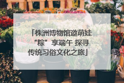 株洲博物馆邀萌娃“粽”享端午 探寻传统习俗文化之旅
