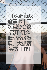 株洲市政府第七十三次常务会议召开 研究低空经济发展、大抓落实等工作