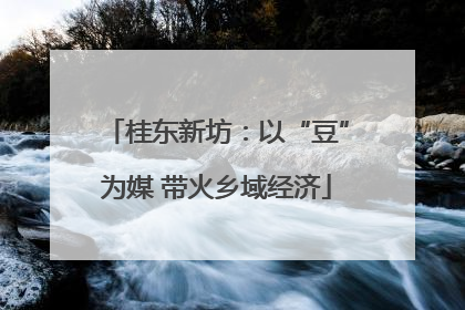 桂东新坊：以“豆”为媒 带火乡域经济