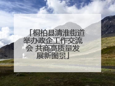 桐柏县清淮街道举办政企工作交流会 共商高质量发展新图景