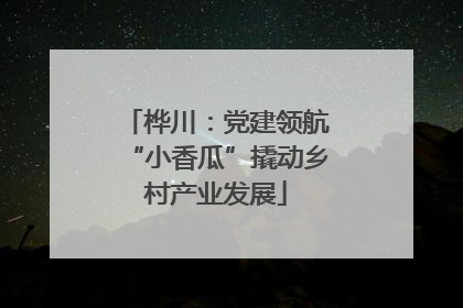 桦川：党建领航“小香瓜”撬动乡村产业发展