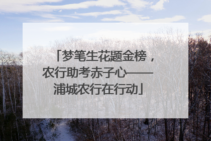 梦笔生花题金榜，农行助考赤子心——浦城农行在行动