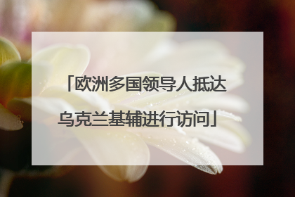 欧洲多国领导人抵达乌克兰基辅进行访问