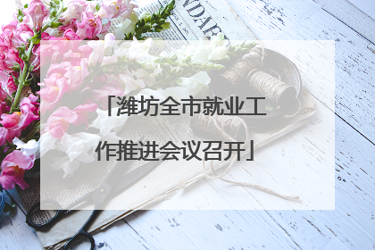 潍坊全市就业工作推进会议召开