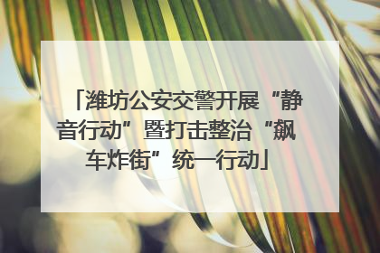 潍坊公安交警开展“静音行动”暨打击整治“飙车炸街”统一行动