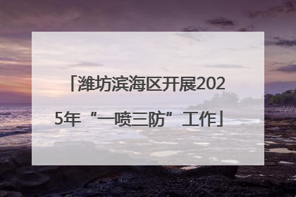 潍坊滨海区开展2025年“一喷三防”工作