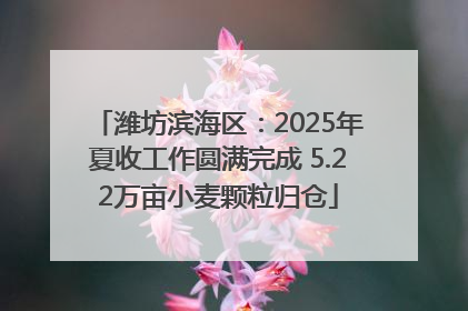 潍坊滨海区：2025年夏收工作圆满完成 5.22万亩小麦颗粒归仓