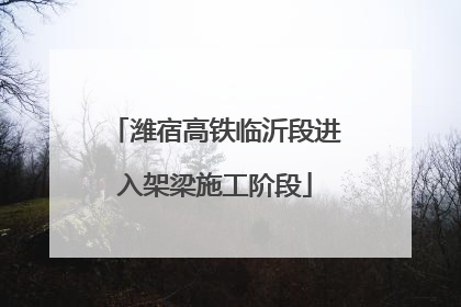 潍宿高铁临沂段进入架梁施工阶段