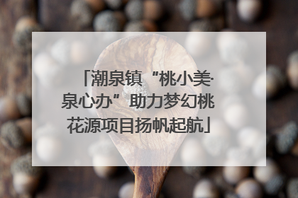 潮泉镇“桃小美·泉心办”助力梦幻桃花源项目扬帆起航