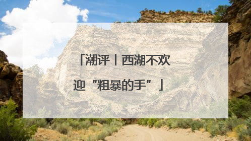 潮评丨西湖不欢迎“粗暴的手”
