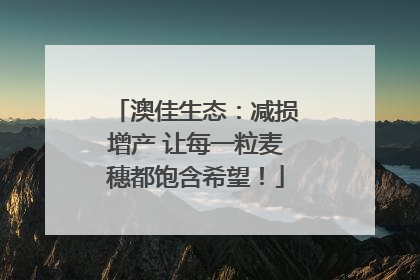 澳佳生态：减损增产 让每一粒麦穗都饱含希望！
