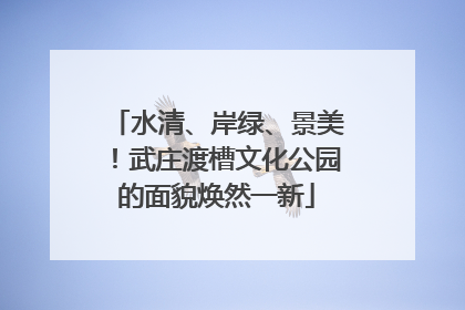 水清、岸绿、景美！武庄渡槽文化公园的面貌焕然一新