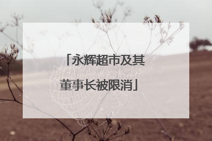 永辉超市及其董事长被限消