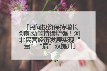 民间投资保持增长 创新动能持续增强！河北民营经济发展实现“量”“质”双提升