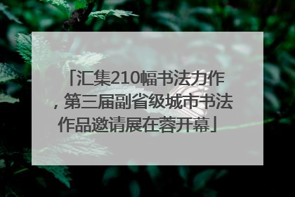 汇集210幅书法力作，第三届副省级城市书法作品邀请展在蓉开幕