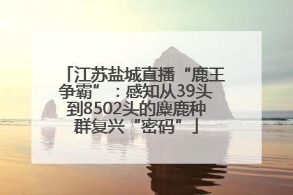 江苏盐城直播“鹿王争霸”：感知从39头到8502头的麋鹿种群复兴“密码”