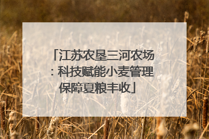江苏农垦三河农场：科技赋能小麦管理保障夏粮丰收