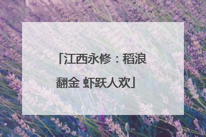 江西永修：稻浪翻金 虾跃人欢