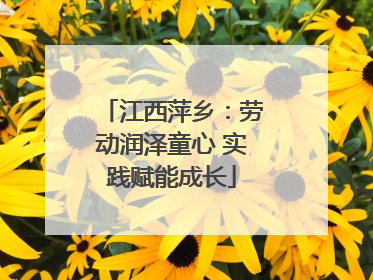 江西萍乡：劳动润泽童心 实践赋能成长