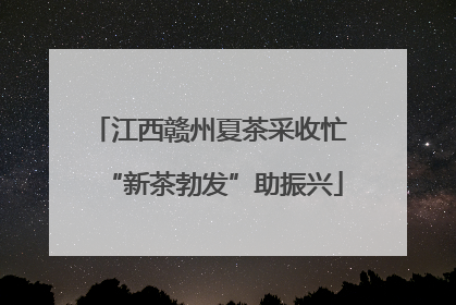 江西赣州夏茶采收忙 “新茶勃发”助振兴
