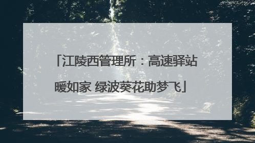 江陵西管理所：高速驿站暖如家 绿波葵花助梦飞